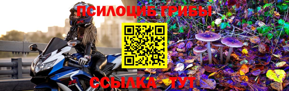 Псилоцибиновые грибы Magic Shrooms Нефтекамск