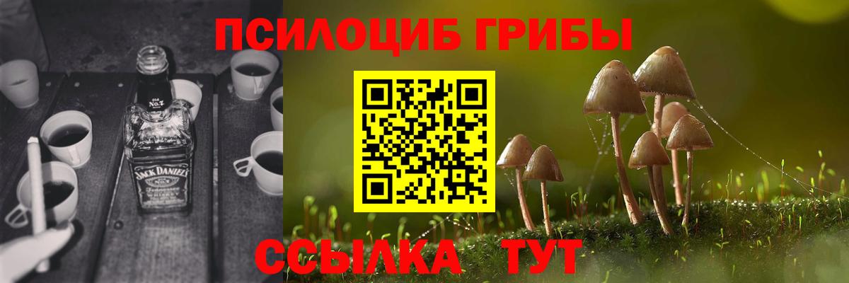 Псилоцибиновые грибы Cubensis  Вход с VPN  Нефтекамск 